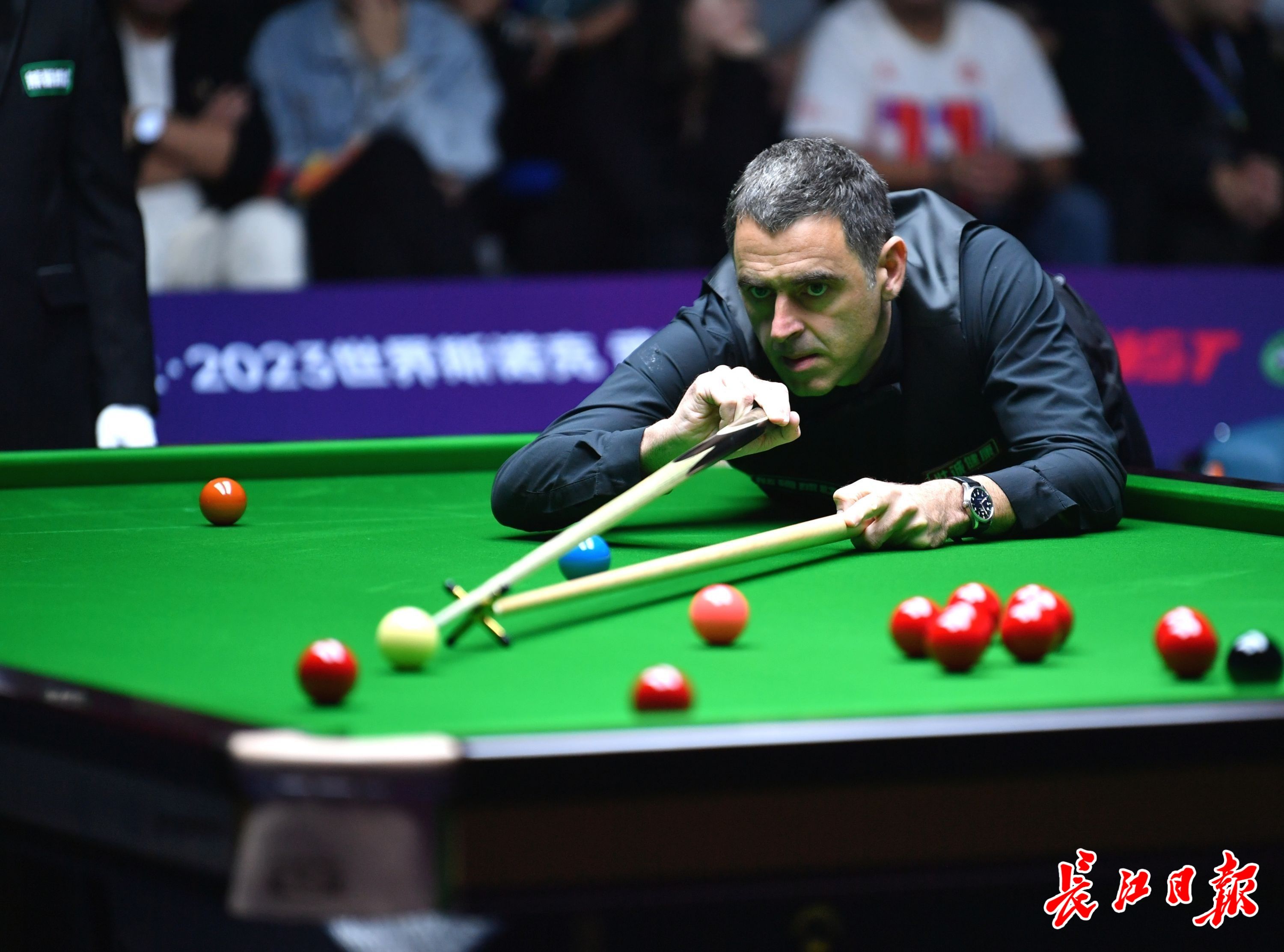 育记者法尔 育记者法尔