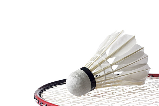 的标题标签 的标题标签